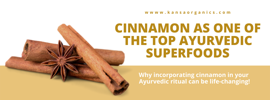 Why incorporating cinnamon in your Ayurvedic journey can be life-changing!