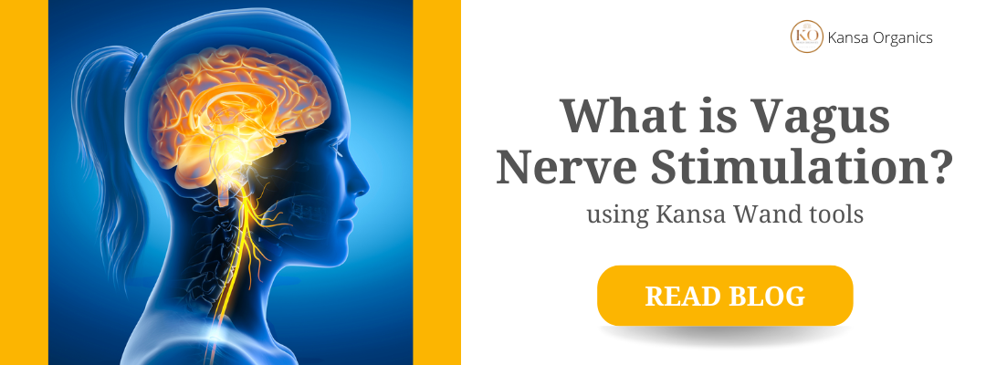 What is Vagus Nerve Stimulation?